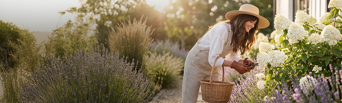 Solarleuchten, Pflanzen & Outdoor-Deko