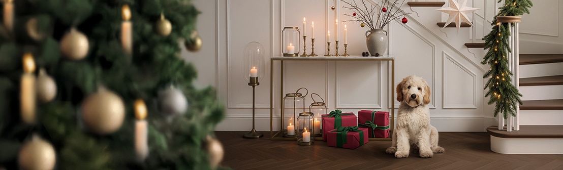 Festliche Deko für Ihr Zuhause