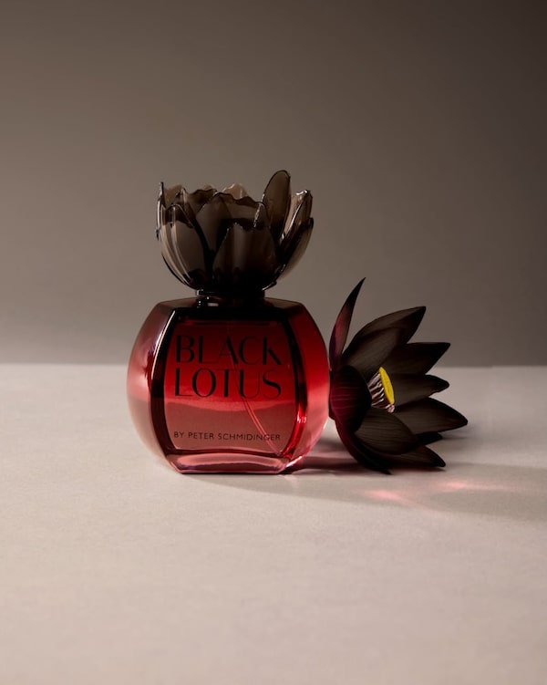 Background for Ein&nbsp;Duft&nbsp;wie&nbsp;eine&nbsp;Lotusblüte:&nbsp;Das&nbsp;Black&nbsp;Lotus&nbsp;Intense&nbsp;Eau&nbsp;de&nbsp;Parfum&nbsp;von&nbsp;Peter&nbsp;Schmidinger&nbsp;–&nbsp;sanft,&nbsp;sinnlich,&nbsp;kraftvoll.&nbsp;Mit&nbsp;3-fach&nbsp;Blüten-Komposition,&nbsp;20%&nbsp;Parfumöl&nbsp;und&nbsp;im&nbsp;Limited&nbsp;Edition&nbsp;Flakon.&nbsp;Jetzt&nbsp;im&nbsp;MEGA&nbsp;Angebot.&nbsp;🪷🖤