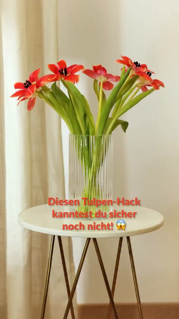 Styling-Hack&nbsp;für&nbsp;deinen&nbsp;Tulpenstrauß:&nbsp;Mit&nbsp;diesem&nbsp;Trick&nbsp;machst&nbsp;du&nbsp;deine&nbsp;Blumen&nbsp;zum&nbsp;Eyecatcher&nbsp;mit&nbsp;Wow-Effekt.&nbsp;🌷🪄&nbsp;Einfach&nbsp;die&nbsp;Blüten&nbsp;vorsichtig&nbsp;von&nbsp;innen&nbsp;nach&nbsp;außen&nbsp;drehen.
