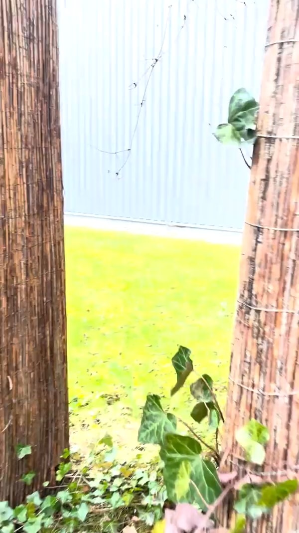 Nanu?&nbsp;Ist&nbsp;das&nbsp;etwa&nbsp;der&nbsp;Osterhase??&nbsp;<br/>Ostern&nbsp;steht&nbsp;vor&nbsp;der&nbsp;Tür!&nbsp;🐰🌸&nbsp;Hol&nbsp;dir&nbsp;jetzt&nbsp;die&nbsp;schönsten&nbsp;Dekoideen&nbsp;für&nbsp;ein&nbsp;unvergessliches&nbsp;Osterfest!&nbsp;Von&nbsp;bunten&nbsp;Eiern&nbsp;bis&nbsp;hin&nbsp;zu&nbsp;zauberhaften&nbsp;Frühlingsblumen&nbsp;–&nbsp;bei&nbsp;uns&nbsp;findest&nbsp;du&nbsp;alles,&nbsp;was&nbsp;du&nbsp;für&nbsp;deine&nbsp;Osterdekoration&nbsp;brauchst.&nbsp;🐣✨&nbsp;Jetzt&nbsp;shoppen&nbsp;und&nbsp;dein&nbsp;Zuhause&nbsp;in&nbsp;ein&nbsp;wahres&nbsp;Osterparadies&nbsp;verwandeln!&nbsp;🌷&nbsp;Lass&nbsp;dich&nbsp;unten&nbsp;inspirieren&nbsp;und&nbsp;schau&nbsp;gerne&nbsp;im&nbsp;Shop&nbsp;vorbei&nbsp;😚