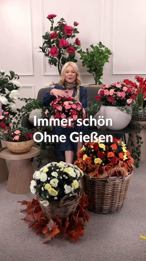 Blüten,&nbsp;die&nbsp;einfach&nbsp;immer&nbsp;schön&nbsp;bleiben&nbsp;🌼&nbsp;Dieser&nbsp;Chrysanthemenbusch&nbsp;bringt&nbsp;ohne&nbsp;Gießen&nbsp;und&nbsp;Verwelken&nbsp;dauerhaft&nbsp;Farbe&nbsp;in&nbsp;dein&nbsp;Zuhause&nbsp;–&nbsp;ob&nbsp;in&nbsp;der&nbsp;Lieblingsvase&nbsp;oder&nbsp;dekorativ&nbsp;auf&nbsp;dem&nbsp;Sideboard.