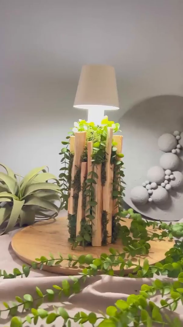 Welcome&nbsp;to&nbsp;the&nbsp;Jungle!&nbsp;🌿🍃&nbsp;Dieses&nbsp;coole&nbsp;DIY-Piece&nbsp;aus&nbsp;der&nbsp;Multi-LED&nbsp;Lampe&nbsp;von&nbsp;Clevaful&nbsp;verpasst&nbsp;deinem&nbsp;Zuhause&nbsp;Tropical&nbsp;Vibes.🌴🥥&nbsp;Das&nbsp;Projekte&nbsp;zum&nbsp;genauen&nbsp;Nachmachen&nbsp;zeigt&nbsp;dir&nbsp;Beate&nbsp;in&nbsp;ihrem&nbsp;Livestream&nbsp;vom&nbsp;13.03!!